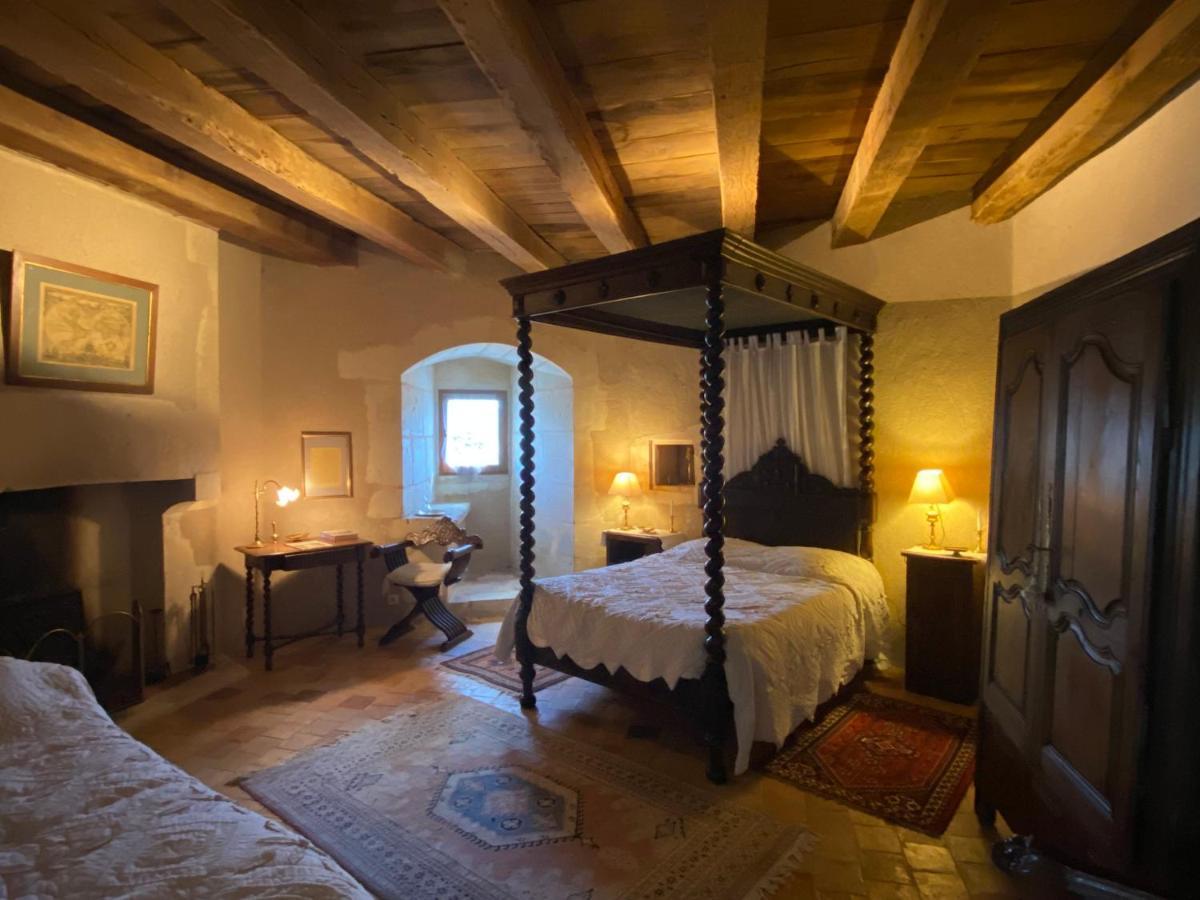 Chateau D'Ingrandes Ingrandes  Екстер'єр фото