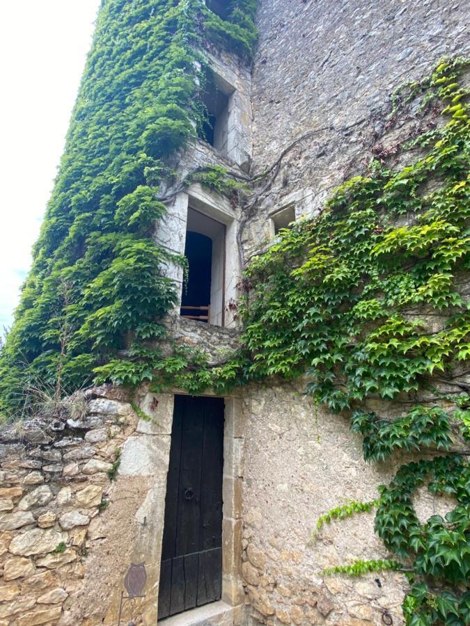Chateau D'Ingrandes Ingrandes  Екстер'єр фото