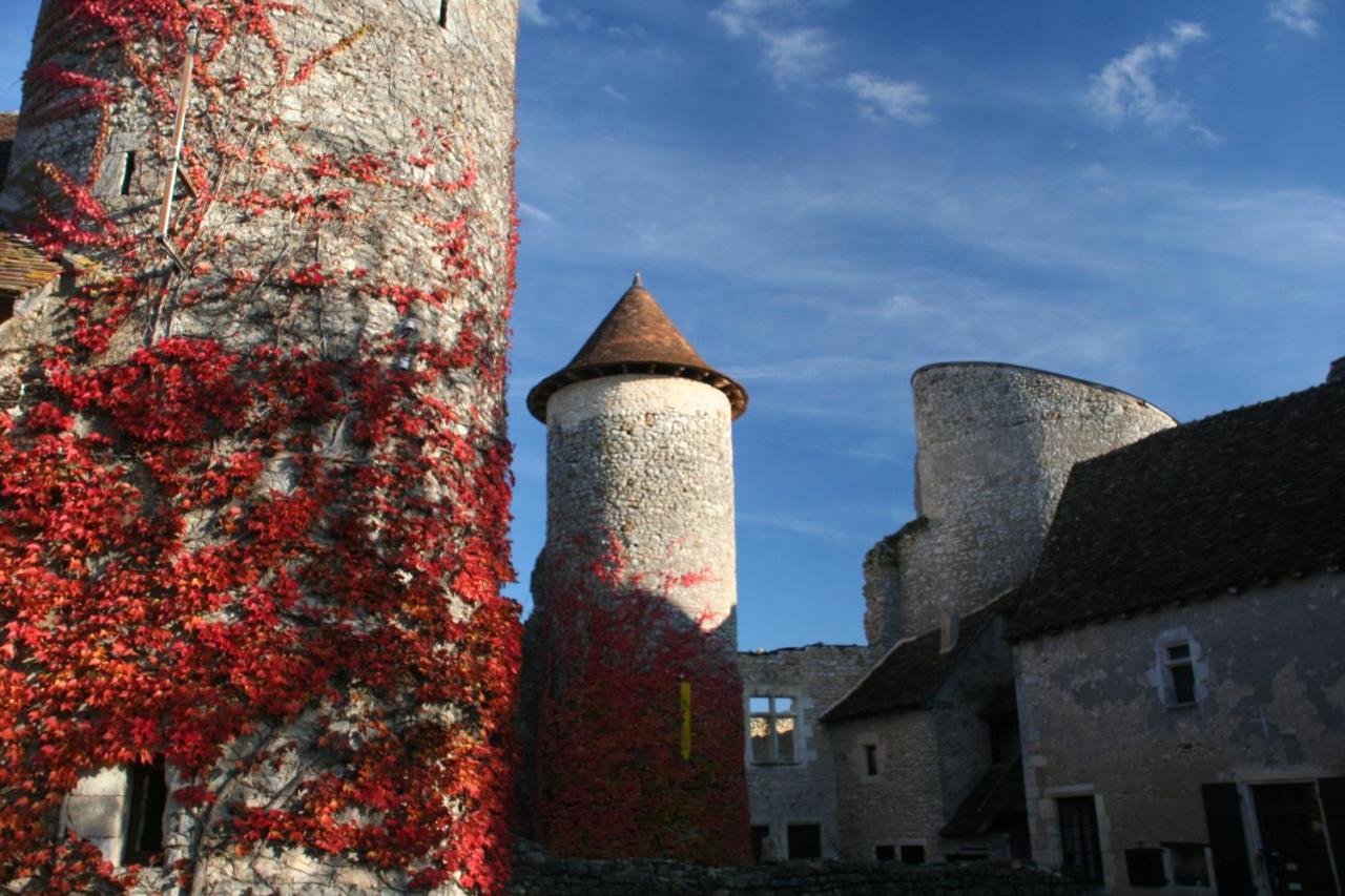 Chateau D'Ingrandes Ingrandes  Екстер'єр фото