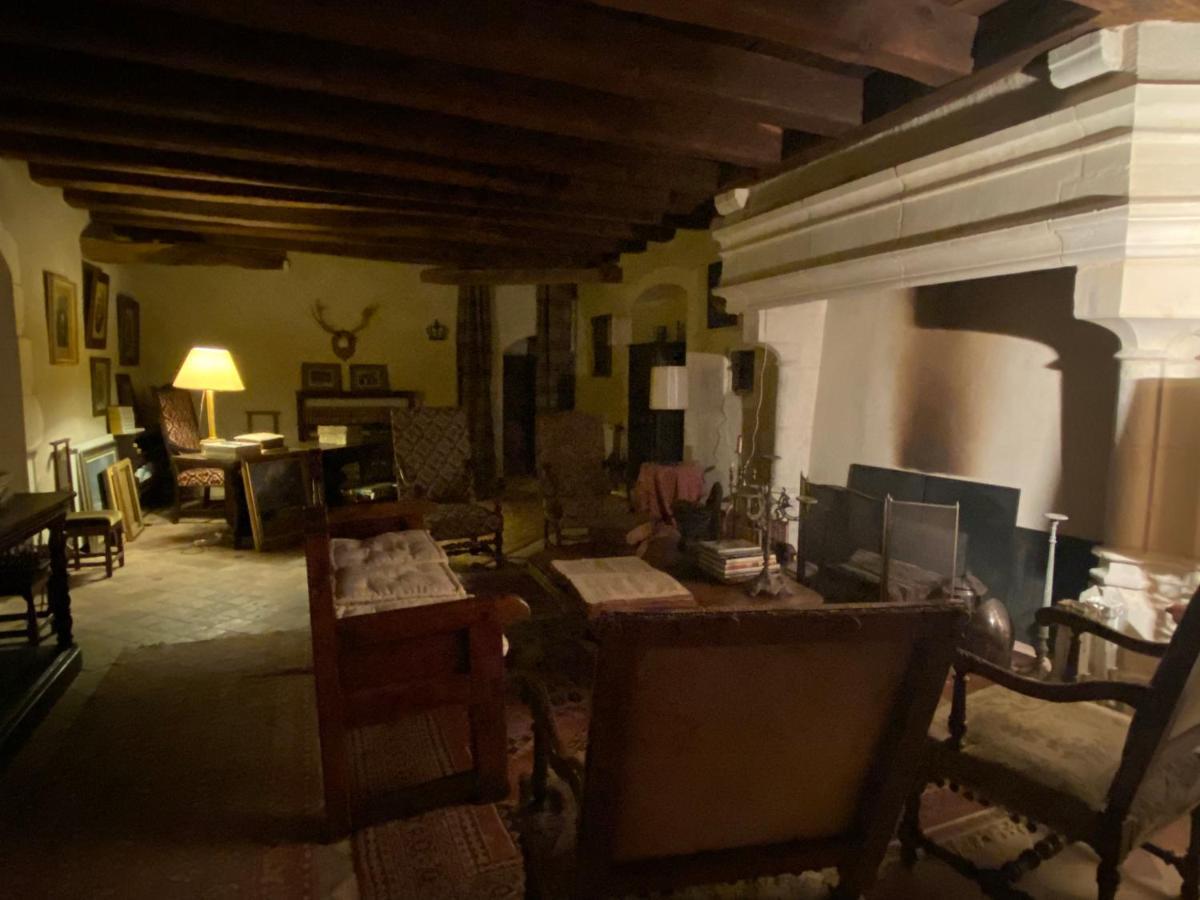 Chateau D'Ingrandes Ingrandes  Екстер'єр фото