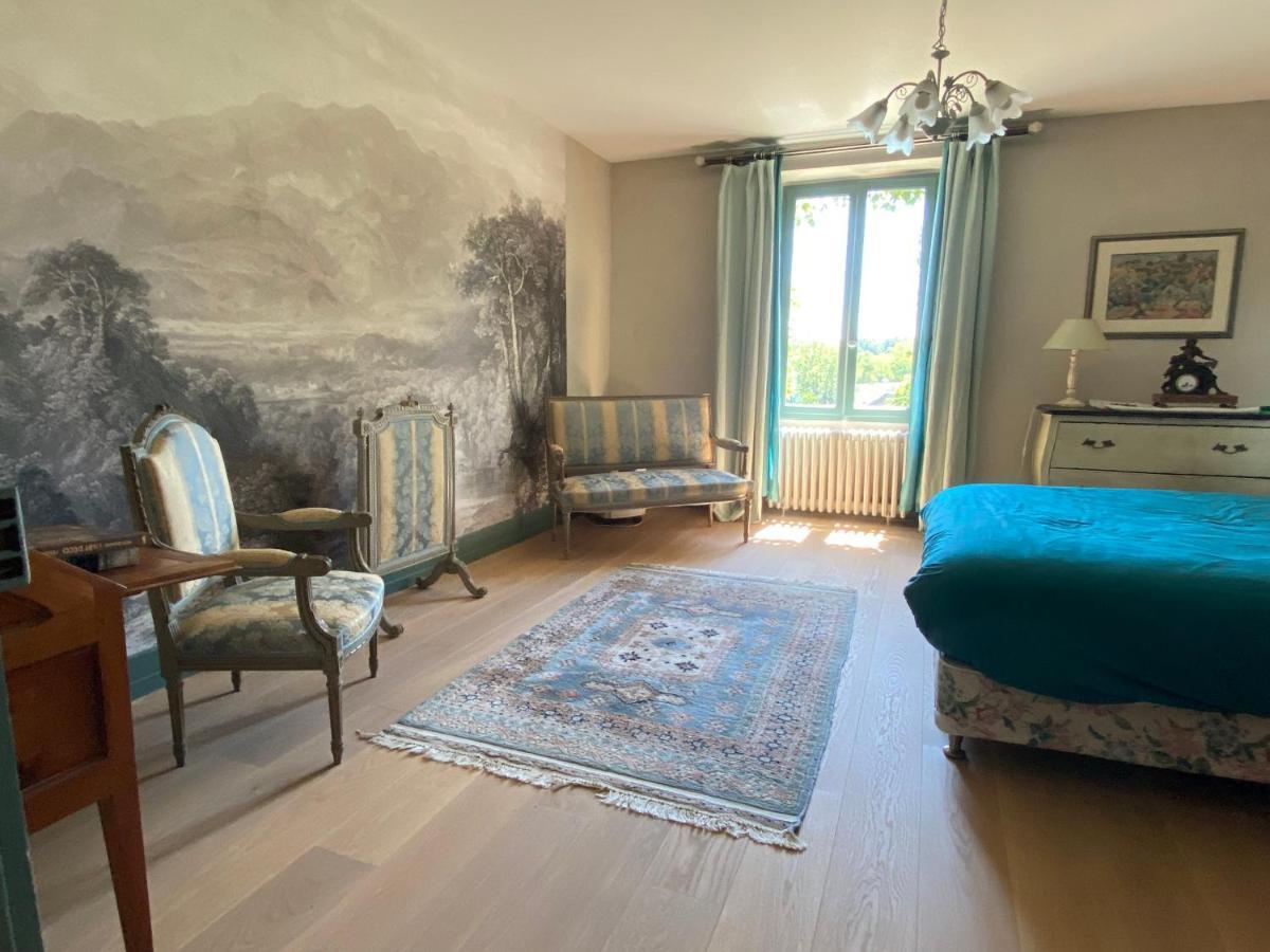 Chateau D'Ingrandes Ingrandes  Екстер'єр фото