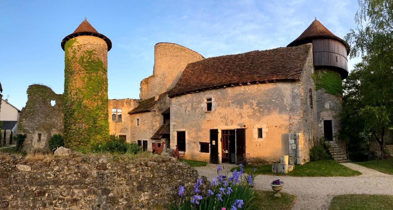 Chateau D'Ingrandes Ingrandes  Екстер'єр фото
