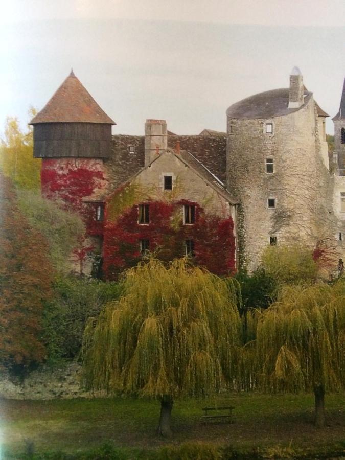 Chateau D'Ingrandes Ingrandes  Екстер'єр фото