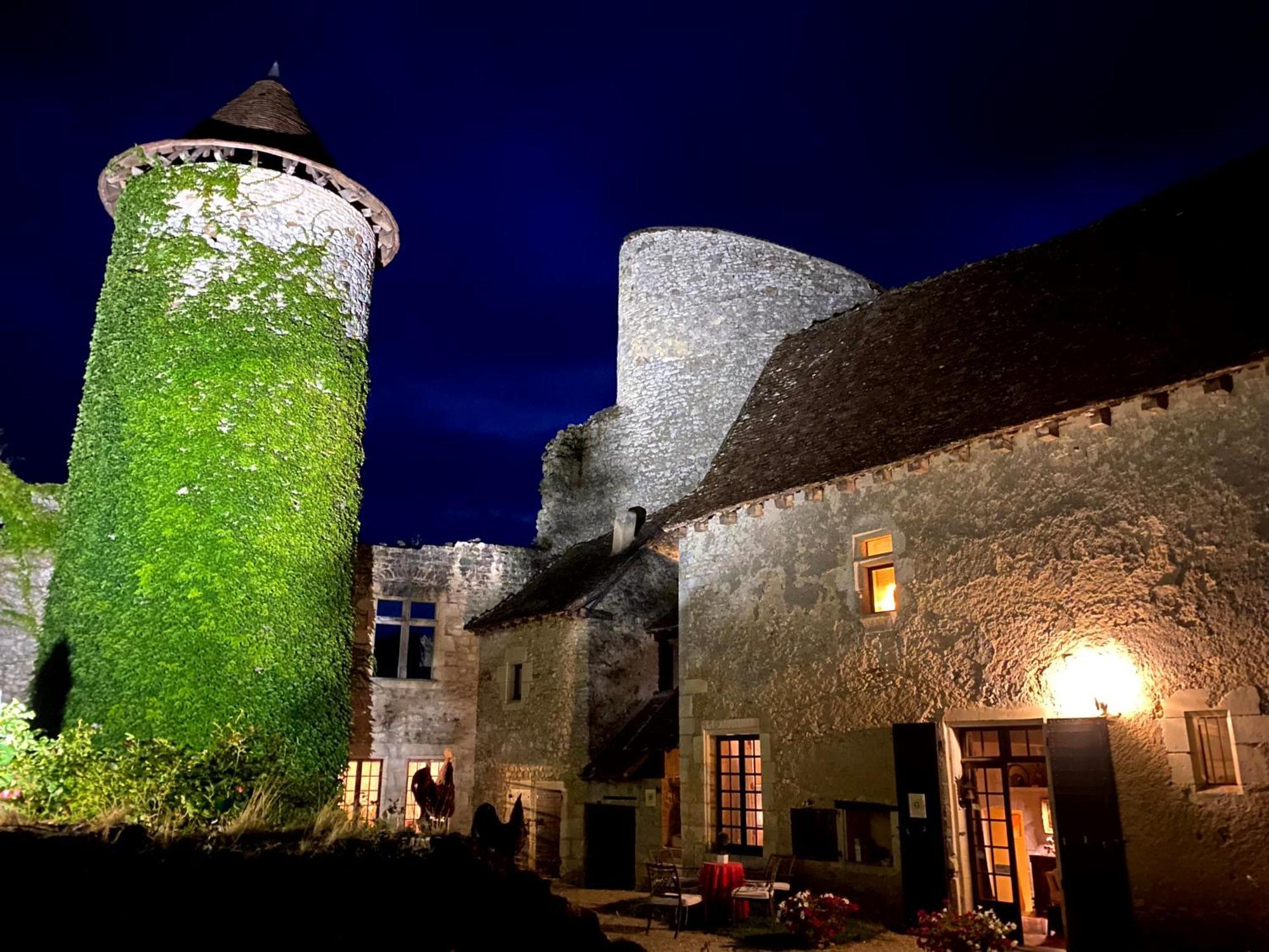 Chateau D'Ingrandes Ingrandes  Екстер'єр фото