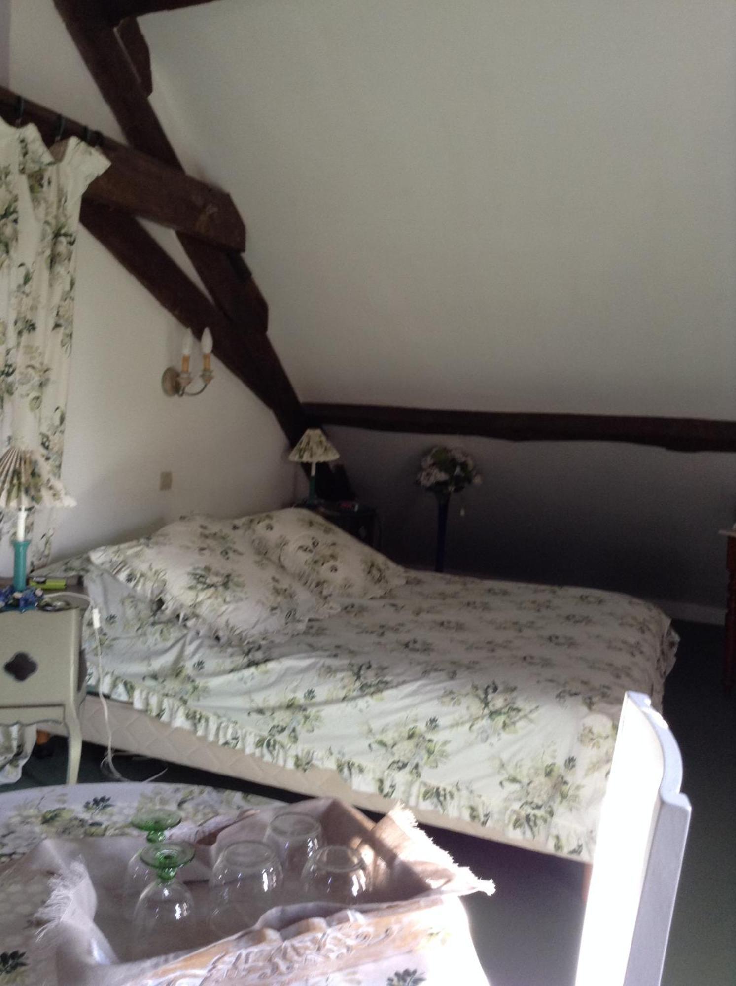 Chateau D'Ingrandes Ingrandes  Екстер'єр фото