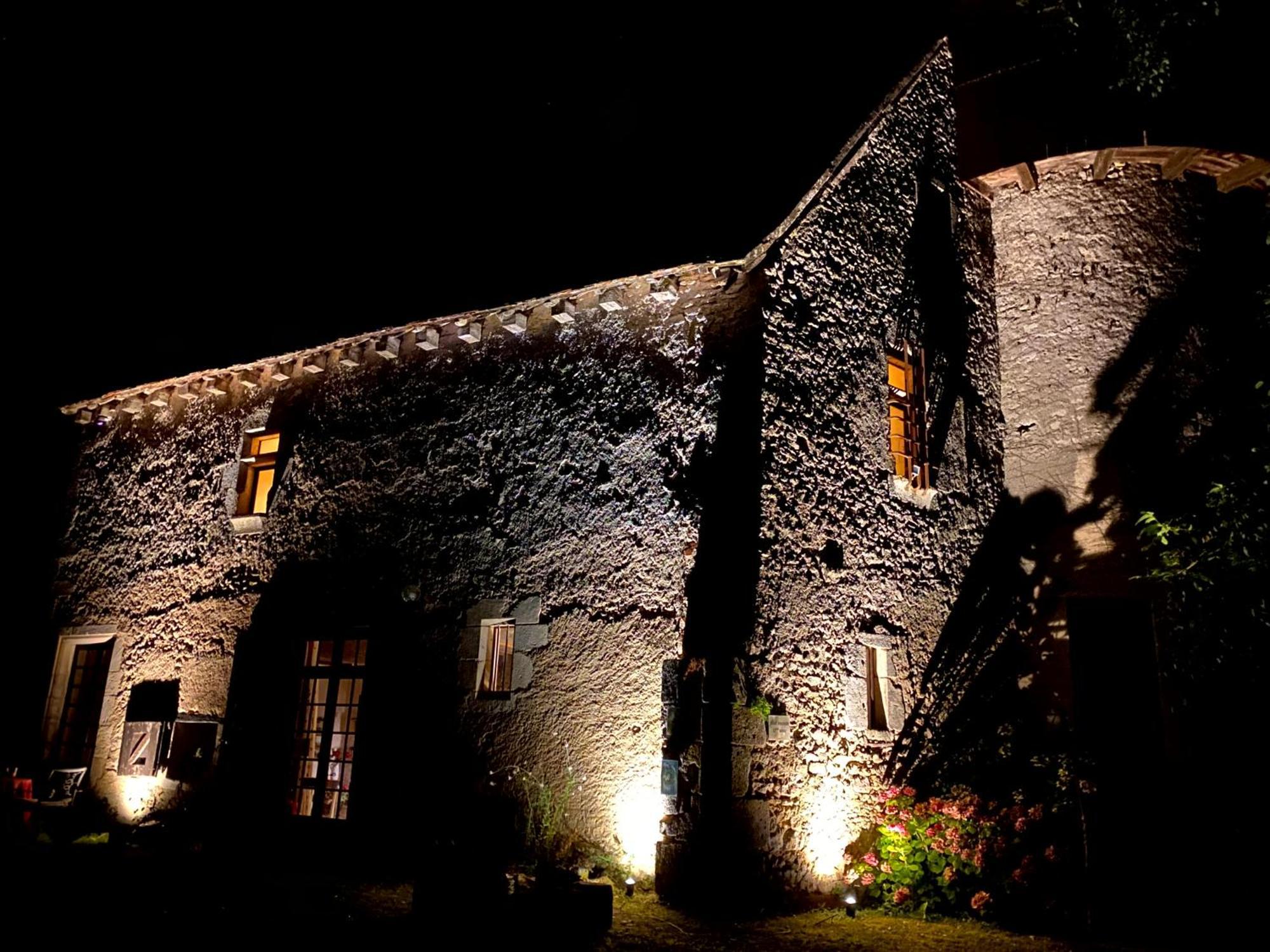 Chateau D'Ingrandes Ingrandes  Екстер'єр фото